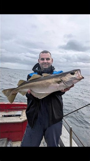 𝐀𝐓𝐋𝐀𝐍𝐓𝐈𝐂 𝐏𝐎𝐋𝐋𝐎𝐂𝐊 (Pollachius pollachius) Sea fishing Ireland 🎣 #pollack #pollock #fishing