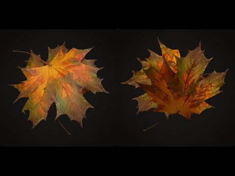 How to Create a Realistic Tree in Blender 3D - Part 2