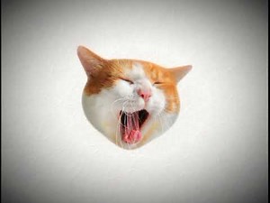 basics in behavior- slowed reverb