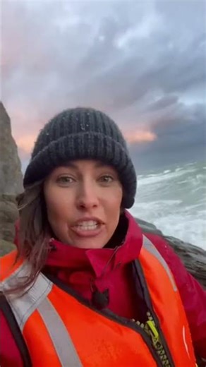 “Shocking Moment: Reporter Attacked by Giant Seabird! | Viral News Footage”