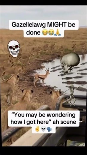 #music #meme ‎#beats #memes #reel #producer #viral‎‎‎‎‎