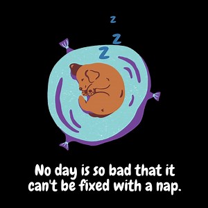 14 reactions | This cold weather is making us all sleepy. Even the shelter pets. Swing by the adoption center and find your new cuddle buddy today! | Alaska SPCA | Facebook