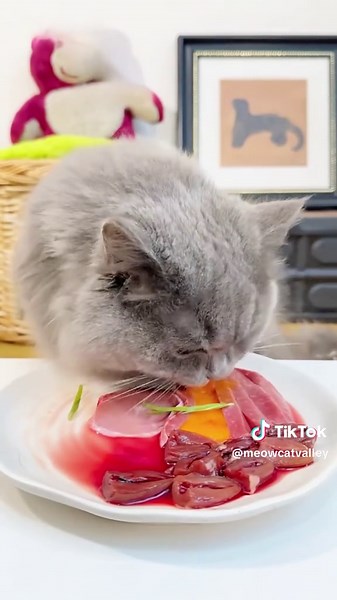 #catfeeding #amsreating #cateating #cat