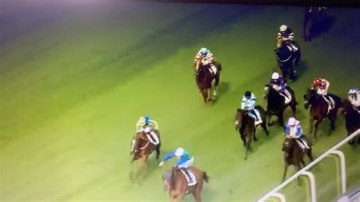 Run free Excellent Echo 💔🌈💔 Just 3 years old and another completely avoidable death in this vile industry. The jockey tried to push the horse into a gap far too small so the horse clipped heels, broke his leg and fell, bringing another horse down with him. What the video doesn’t show is Excellent Echo standing up and continuing to run, even though horrifically injured he still tried to get back to the safety of the group 💔💔 This is NOT sport, this is sick and this is animal abuse. 🤬 | Hors