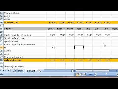 Vejledning til Budgethusets budgetskema