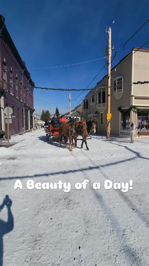 Christmas Market is Open! | Georgetown: Anomaly