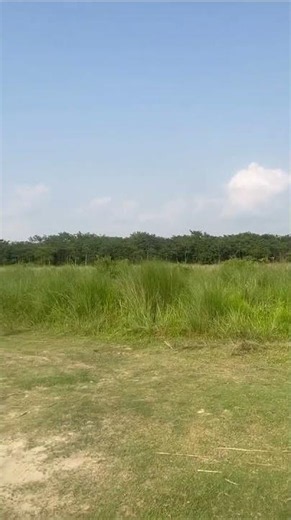 Exploring Nature, Chitwan National Park, Nepal, World Travel Experiences from Fahri K. 🇳🇵
