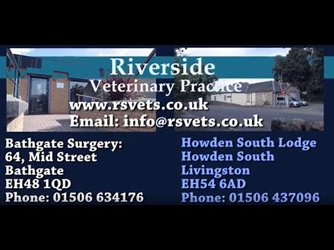 Vets - Riverside Veterinary Practice