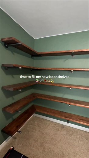 𝐊𝐲𝐥𝐢𝐞 🧚🏼‍♂️🥀✨ on Instagram: "Should I do a bookshelf tour? #bookshelforganization #bookshelves #bookstagram #bookshelftour #creatorsearchinsights"