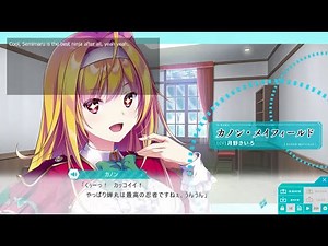 How to play japenese visual novels in english
