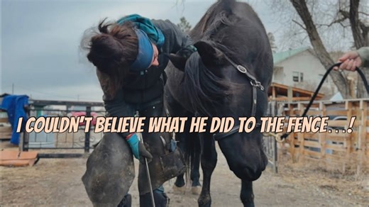 Rudnik’s Pedicure Day Turns into a Mischief Adventure