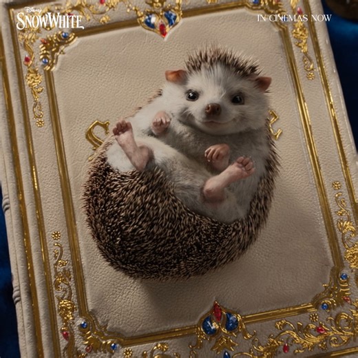 Experience the timeless tale like never before 🍎✨ Disney’s #SnowWhitePH is in cinemas NOW! GET TICKETS HERE: https://disney.asia/CoLwH6. | Walt Disney Studios