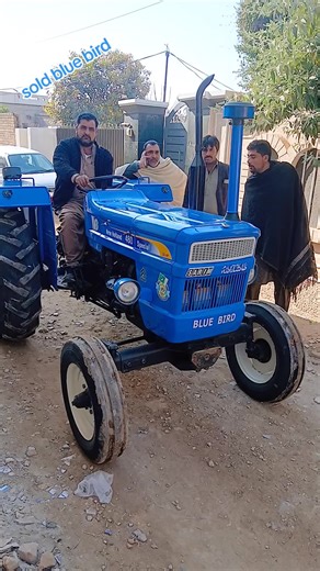 Sold Out: 2023 Blue Bird Model Release