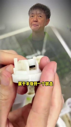 Toilet Repair Guide: DIY Steps to Fix Your Own