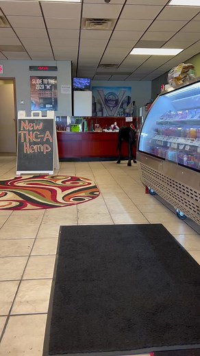 99K views · 6.9K reactions | Let’s play ball #dogball #greatdane #bigdog #dog | Larry_the_great_dane | Facebook