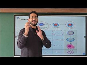 PLATELETS: Formation, Structure and Functions || Physiology || Blood || MBBS || NEET UG || NEET PG