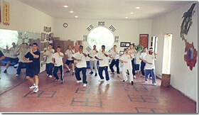 Hsing-I (Xing Yi Quan) - Little Nine Heaven