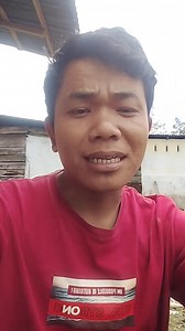 Klarifikasi taringot vidio viral, Pengantin mangulosi natoras na #HorasBangsoBatak #BatakRaja #Batak #Horas #fyp #vira @sorotan | Putra Naras Siboro