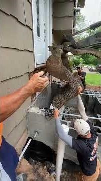 One Tiny Mistake… Massive Disaster ⚠️ | DIY Fails Compilation #fails