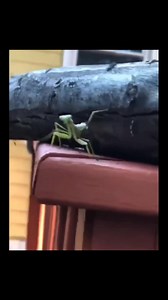 Best Funny Moments of the year 🤣 | Funny Entertainment