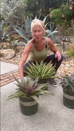 GardenFit: How to Squat to Lift in the Garden