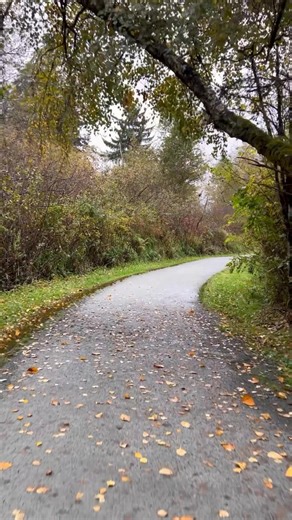 Burnaby Lake Regional Nature Park | Burnaby 🇨🇦 | #fyp #facebookviral #instagram #canada_life🇨🇦 #burnabylake #lake #bc #park #beauty #water #shorts #viralvideos #forest #swing #swimming #recreation #goose #par #burnaby #duck #nature #fish #salmon #cod | Hviral Hviral