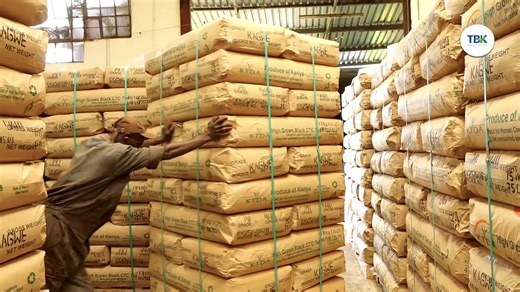 15K views · 268 reactions | A Croatian journalist visits a tea farm and factory for the first time in her lifetime! A group 30 international journalists from Africa, Europe, Asia and America visited KTDA Holdings Limited's Kagwe Tea Factory during their recent #ifaj2025 Congress to explore Kenya tea industry and share promotional editorial of the Kenya tea story in their publications. MESHA Science #teatime | Tea Board of Kenya | Facebook