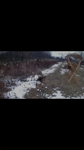 Filmy użytkownika Klub Sportowy STRIKE (@strikersport) z muzyką suara asli - wan wkwk