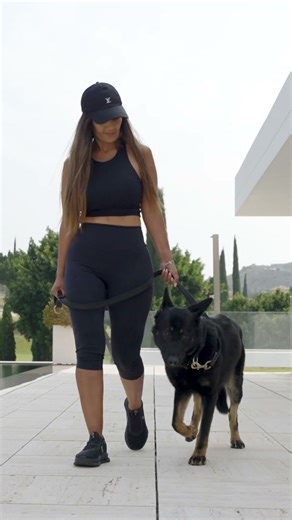 Another amazing re-visit. We love seeing our dogs thriving in their new families ❤️ #dogtraining