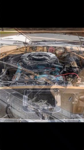 1969 Dodge Polara Walkaround #shorts #dodge #classiccars #affordableproducts #vintage