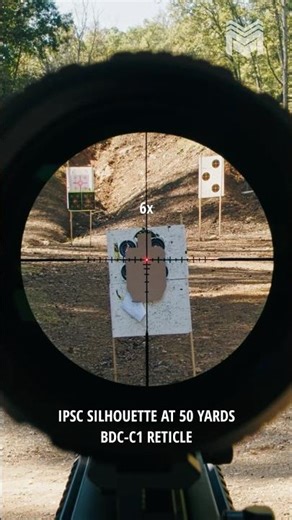 What does a Fiber Optic Reticle on an LPVO look like?