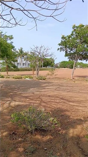 RECT POLYTECHNIC COLLEGE