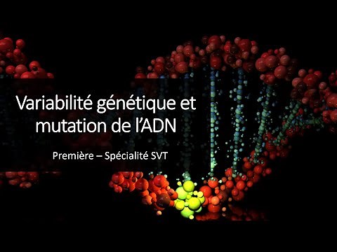 Special SVT 1st year course - Genetic variability and DNA mutation