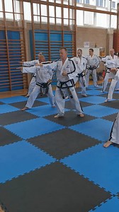 145K views · 2.2K reactions | Hwa-Rang at the last IIC in England. | Grandmaster Dalton Taekwon-Do | Facebook