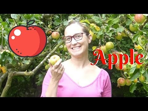 Apple (Makaton sign language) DanceMatters