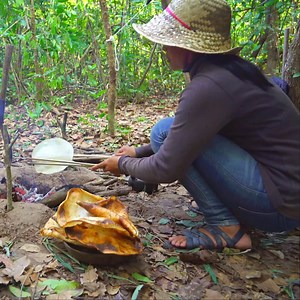 318K views · 4.8K reactions | Life in the forest | Jungle Survival | Facebook