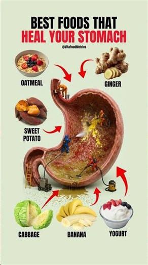 Best Foods That Heal Your Stomach 🍌🫚🥣