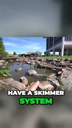 23K views · 150 reactions | A skimming system is one of the most important components of a healthy ecosystem. #skimmer #pond #ecosystem | Ed The Pond Professor | Facebook