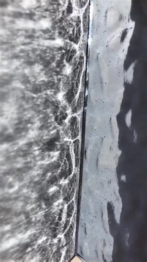 If you like this book search '149905' on GoodNovel to read the whole book. #BookTok #read #storytime