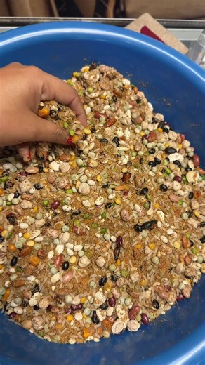 Botánica ache Iboru (@botanicaasheiboru)’s videos with San Lazaro (Remasterizado) - Papo Angarica