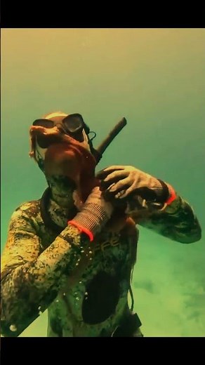 Angry OCTOPUS Wrapped DIVER's Neck ! 🐙 #ocean #octopus #deepsea #animalfight #viralvideo #seafight