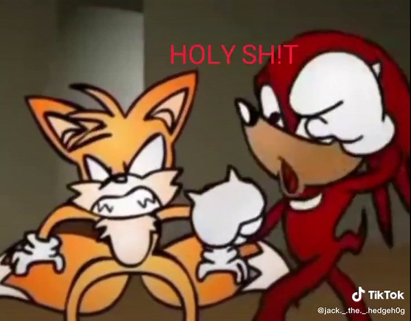 VIGILANTE™ on TikTok