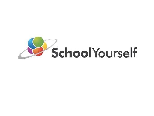 Intro: Introduction - School Yourself