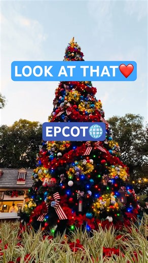 LOOK! At Those LIGHTS Decorations DISNEY’S Christmas Tree AMERICAN PAVILION Walt Disney World EPCOT!