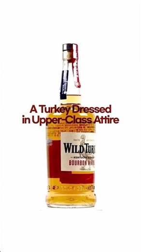 A Turkey Dressed in Upper-Class Attire - Wild Turkey 81 NAS #WiseCrow