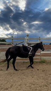 Spooky season is among us! 🐎😂 | Furry Tails