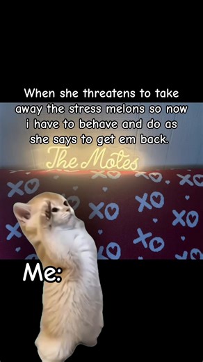 Stress Melons: The Comedic Consequence of Behavior