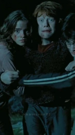 #severussnape #snager #snamione #hermionegranger #harrypotter #hogwarts #severussnapeedit #hermionegrangeredit #ronweasley #remuslupin #siriusblack #snapetok #hermionetok #severustok