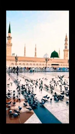 Powerful Dua for Protection From Punishment of the Grave 🤲 | Authentic Sunnah