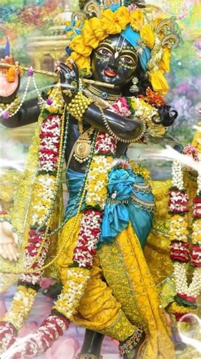 Radhe Radhe ❤️#radhakrishna #krishna #krishnwold #viralreels #radharani #viral #dwarka #dwarkadhish